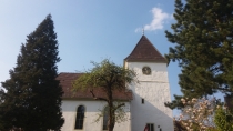 Foto von Evangelische Kirchengemeinde Obrigheim