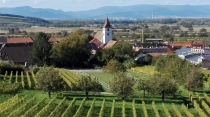 Foto von Evangelische Kirchengemeinde Königschaffhausen-Leiselheim