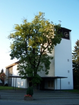 Foto von Evangelisch-reformierte Kirchengemeinde Heidenoldendorf