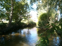 Foto von Friedensfluß