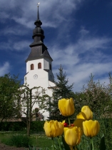 Foto von Ev.-Luth. St.-Nikolai-Kirchgemeinde Grünlichtenberg